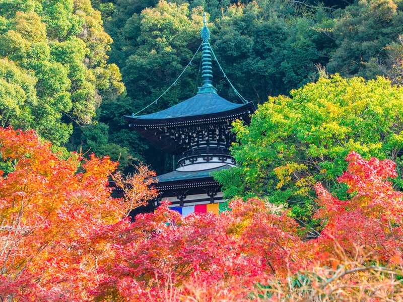 永観堂(禅林寺)