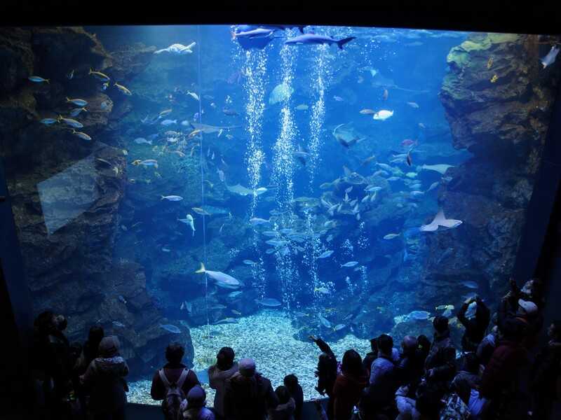 京都水族館