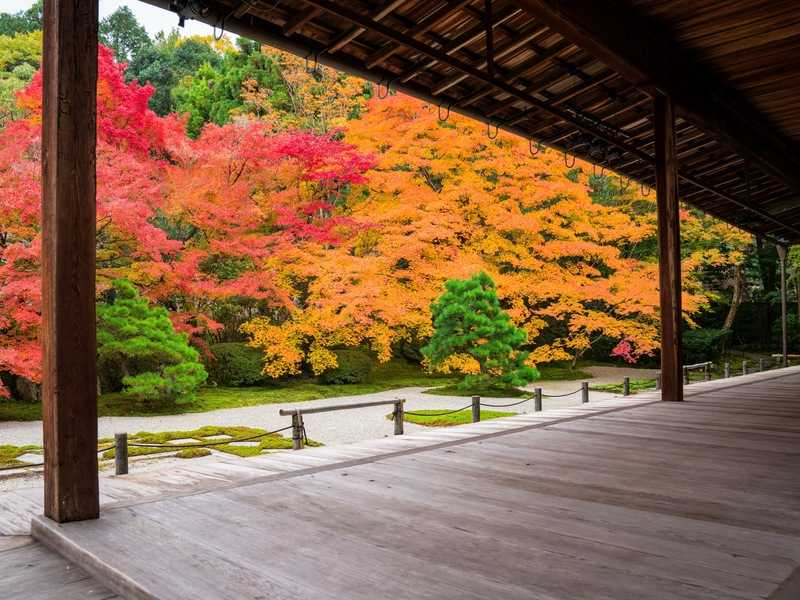 南禅寺天授庵紅葉