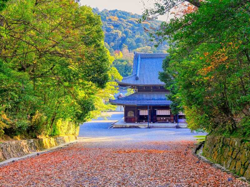 泉涌寺降り参道