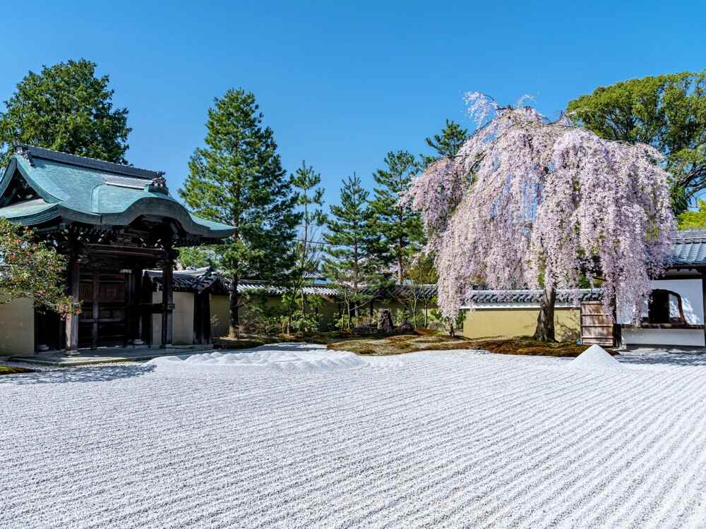 高台寺方丈庭園