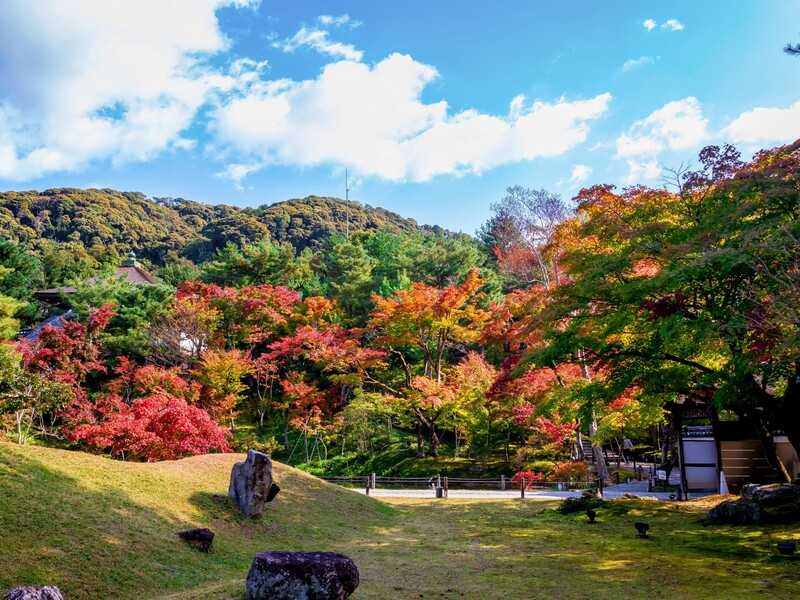 高台寺紅葉