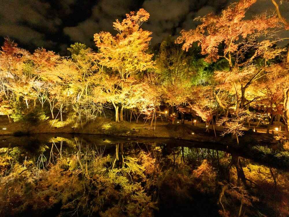 高台寺夜間特別拝観