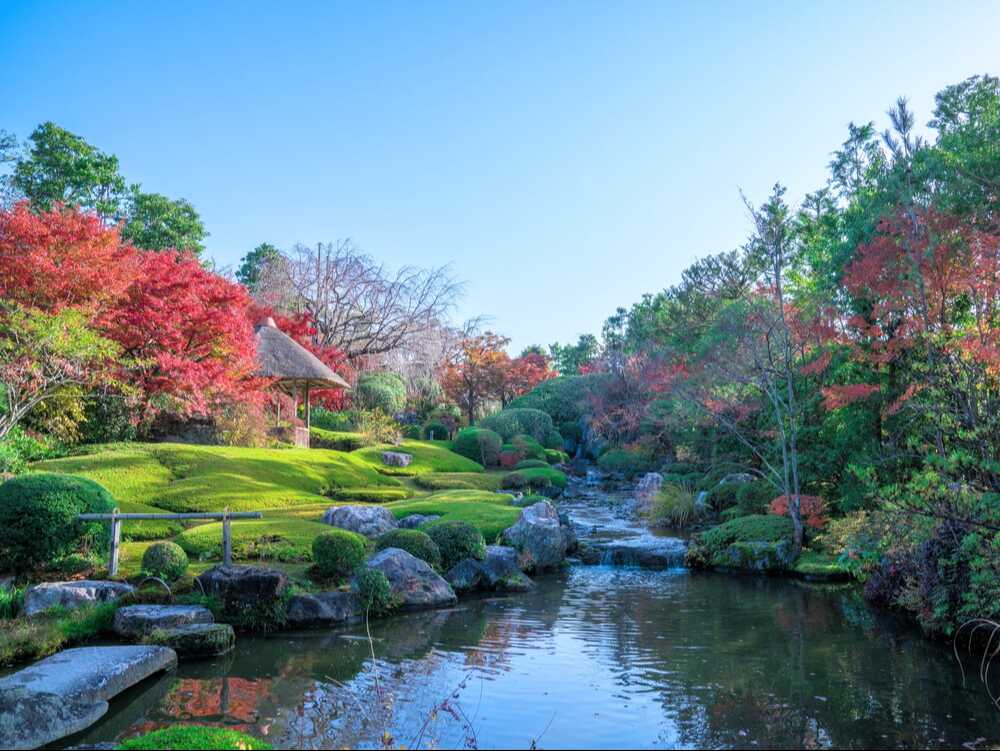 妙心寺退蔵院庭園