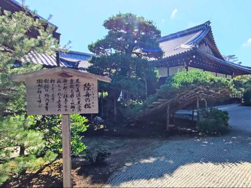 金閣寺陸舟の松