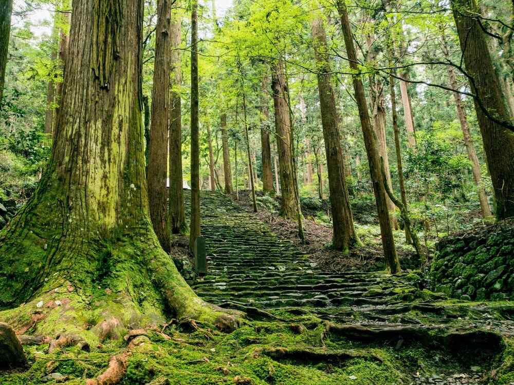 高山寺境内