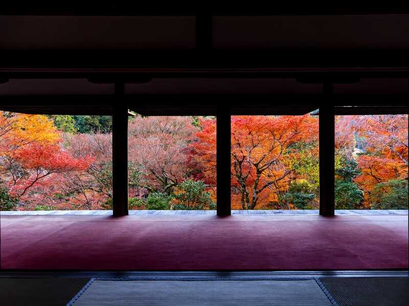 高山寺紅葉