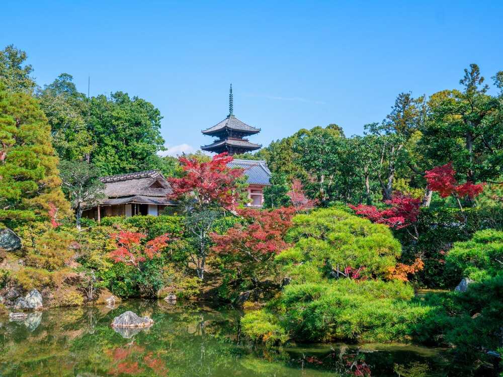 仁和寺御所庭園