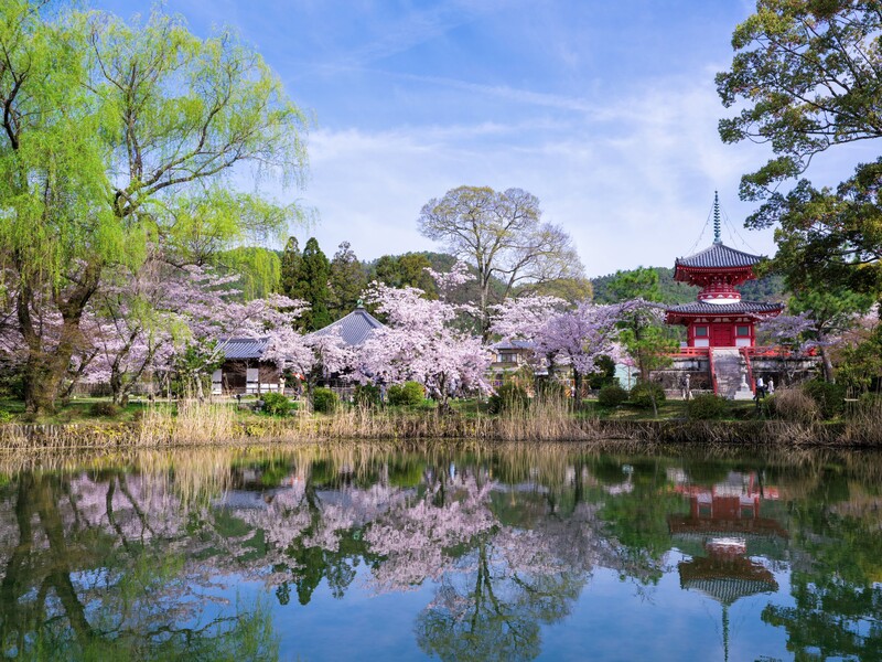 大覚寺