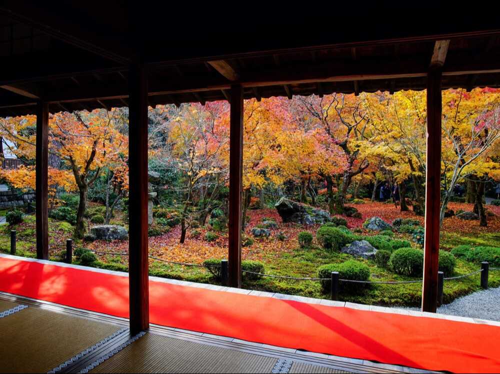 圓光寺の紅葉