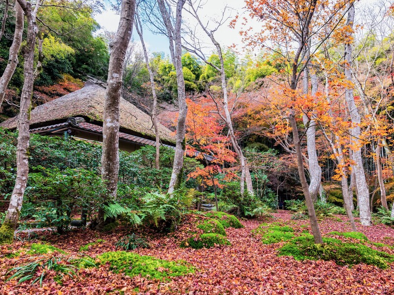 祇王寺