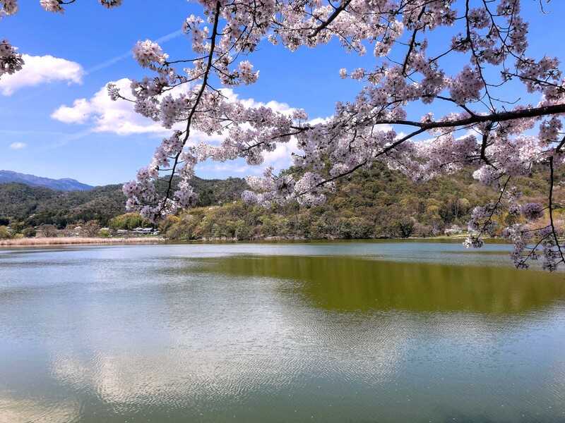 広沢池