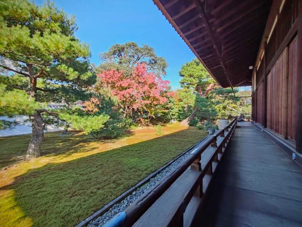 相国寺西側庭園