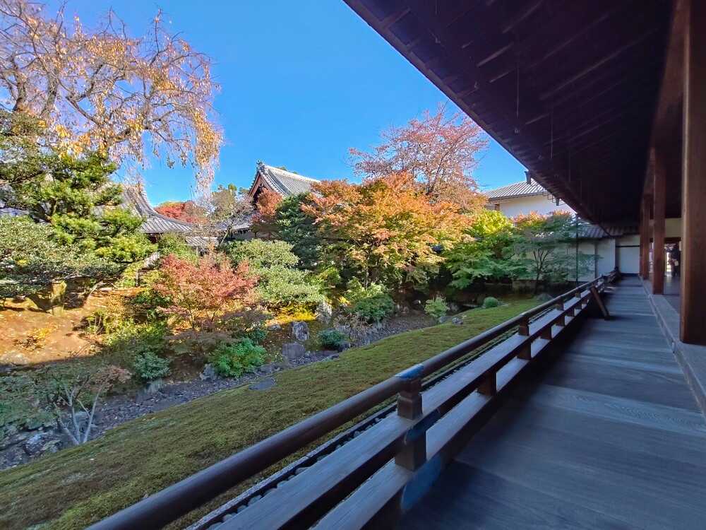 相国寺裏方丈庭園