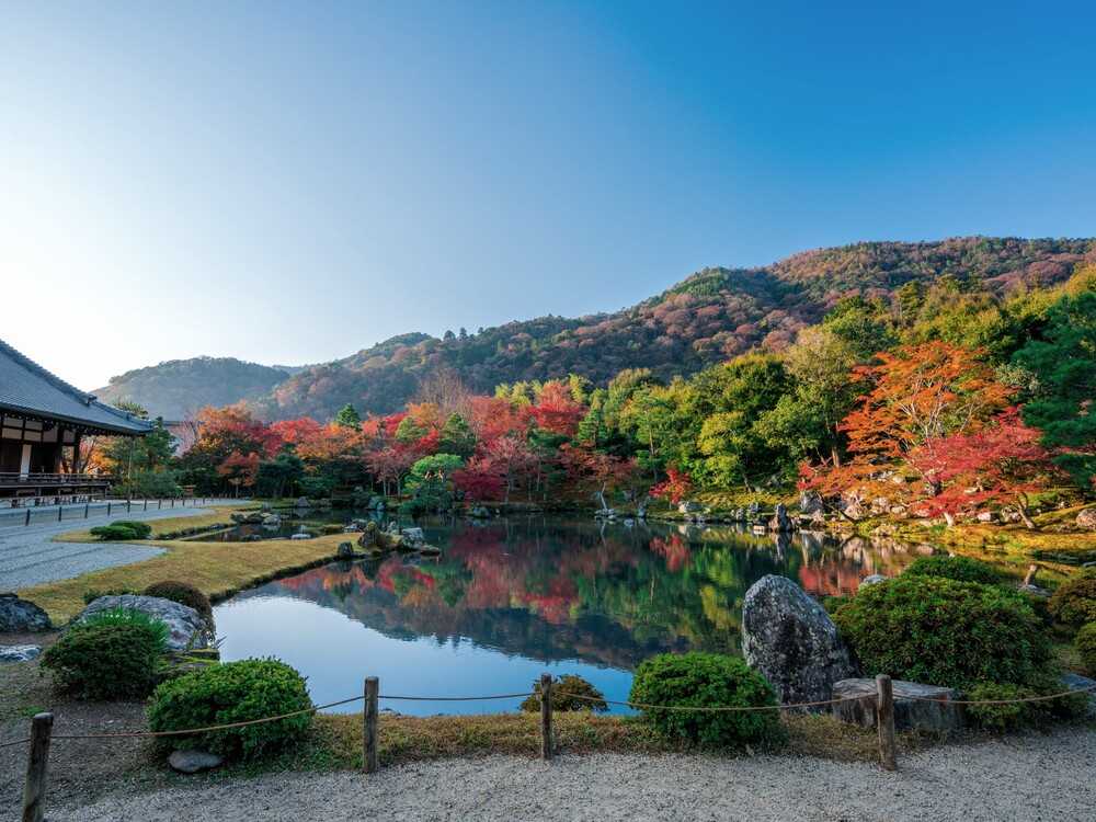 天龍寺曹源池庭園紅葉