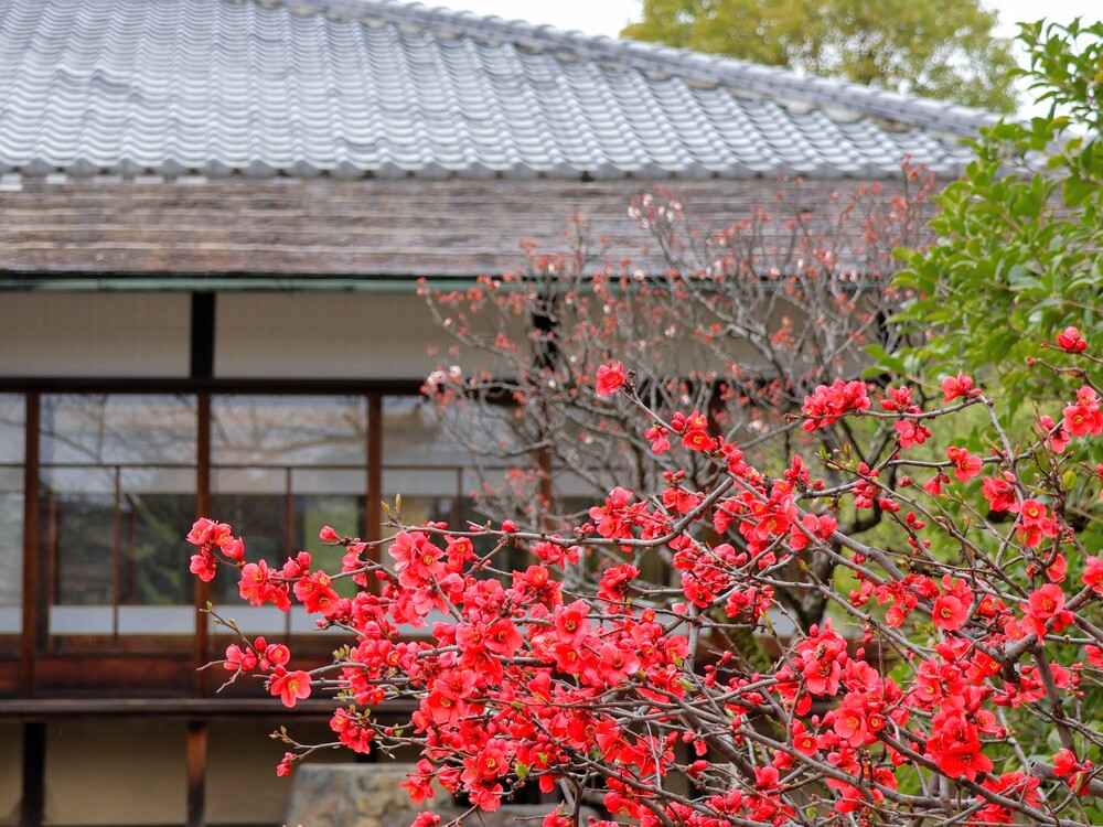 東本願寺渉成園