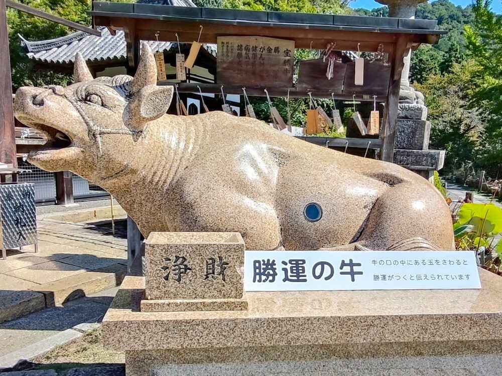 三室戸寺勝運の牛