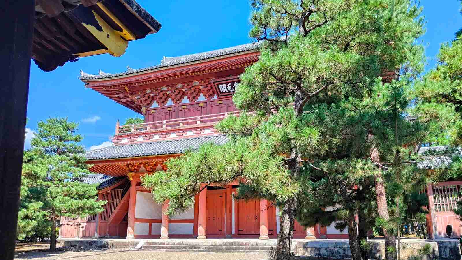 掛軸-1409　大徳寺　中村祖順　「玄鶴千年齢」 掛軸-1409 大徳寺 中村祖順 「玄鶴千年齢」