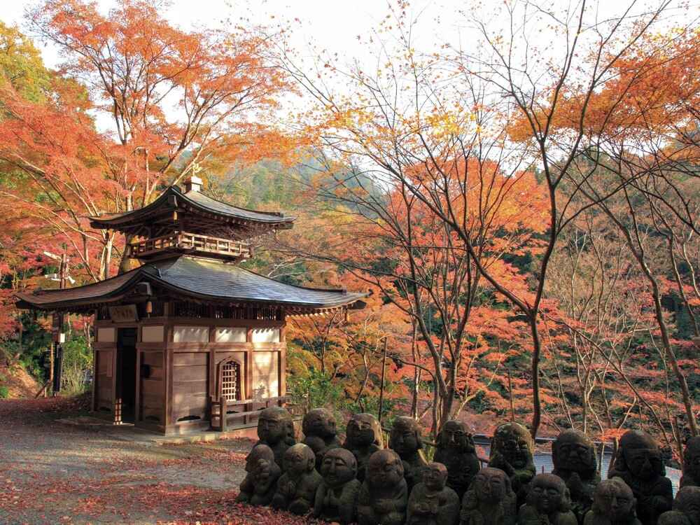 愛宕念仏寺紅葉