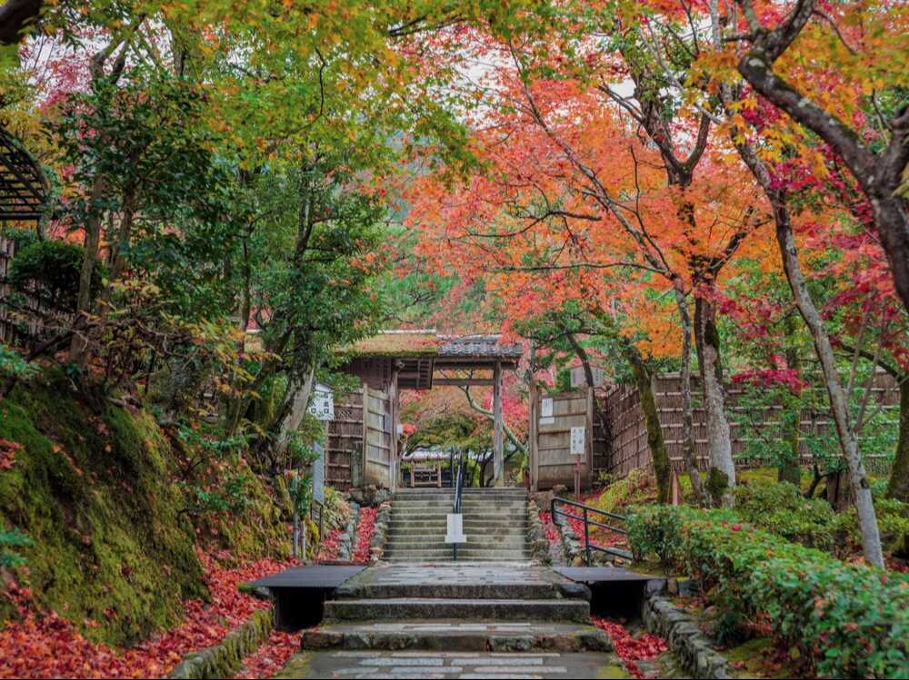 化野念仏寺紅葉